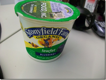 lowfat youghart